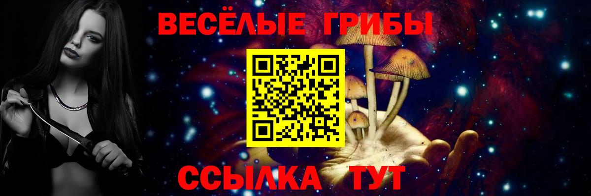 Галлюциногенные грибы GOLDEN TEACHER  Вход с VPN  Бийск 